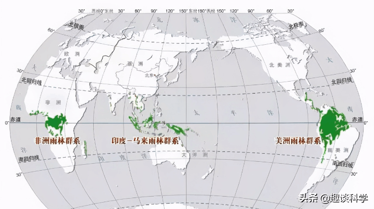 世界上最大的蛇排行(亚马逊森蚺现今第一(四川发现50米大蛇)