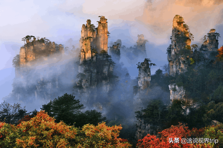 中国最火十大景区排名(中国最火的十大旅游景点)