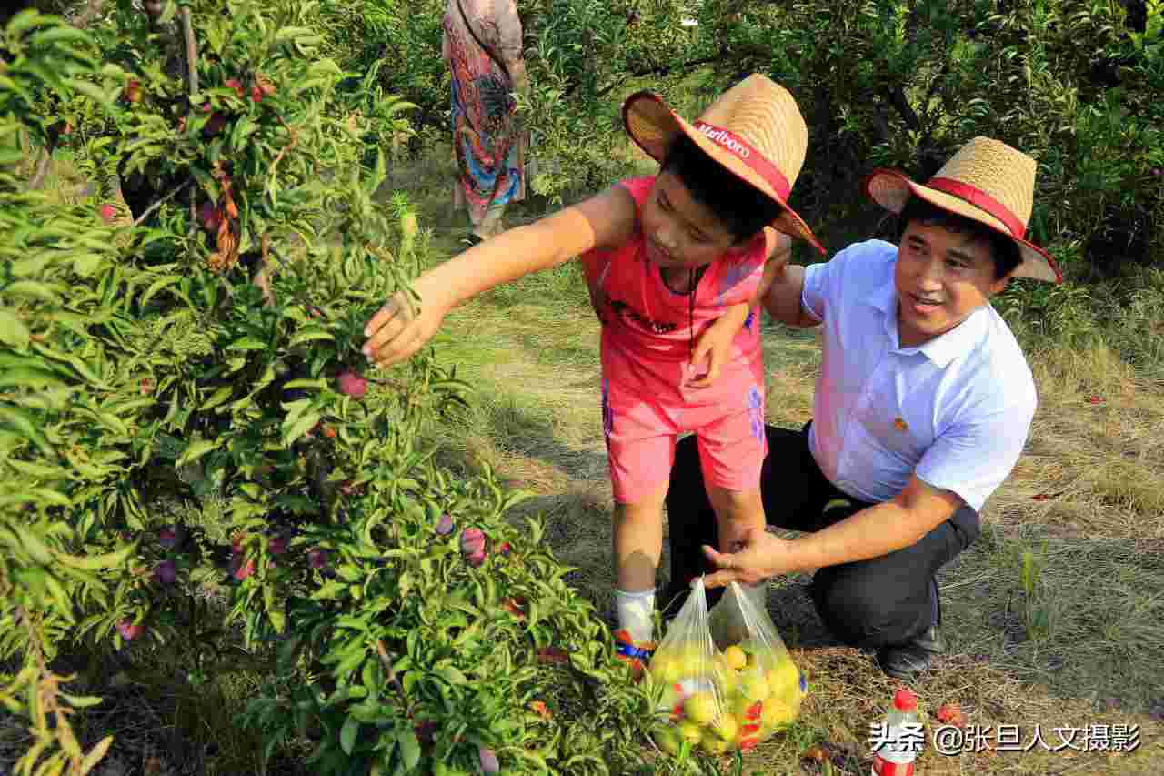 产地直发?外卖小哥菜地收菜后配送(网友直呼原生态)