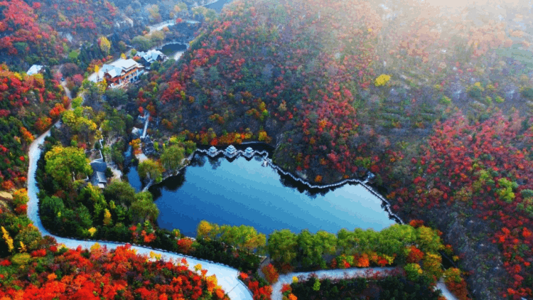 锐舞天鹅湖(锐舞天网灭蚊灯)