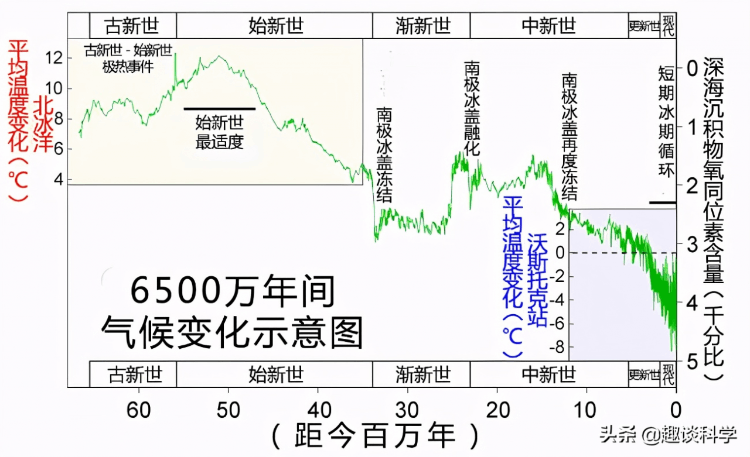 世界上最大的蛇排行(亚马逊森蚺现今第一(四川发现50米大蛇)