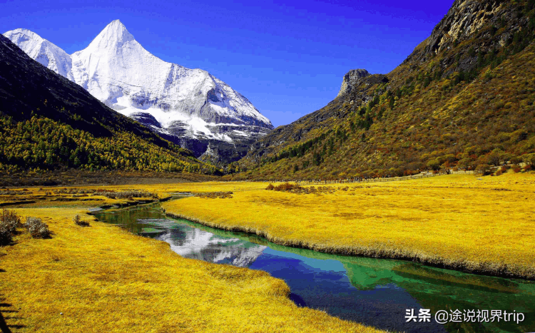 中国最火十大景区排名(中国最火的十大旅游景点)