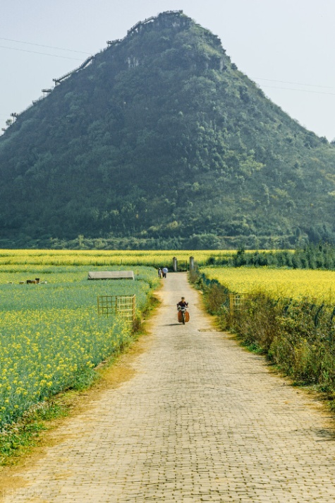 中国最宜居城市前十名（中国适合养老的地方）