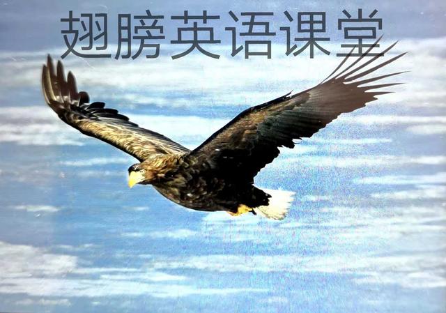 make是什么意思中文(made和make是什么意思)