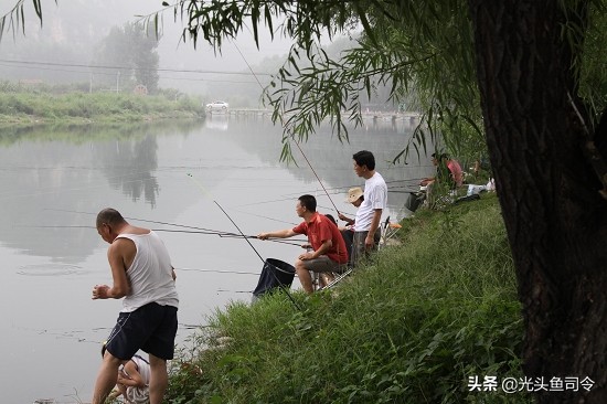 怎么钓翘嘴(为什么禁止泥鳅钓翘嘴)