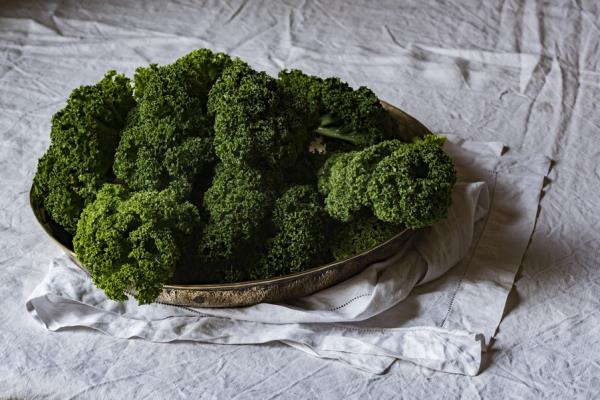 介绍熟黄豆粉的功效和作用及食用方法(熟黄豆粉的功效及作用及食用方法)