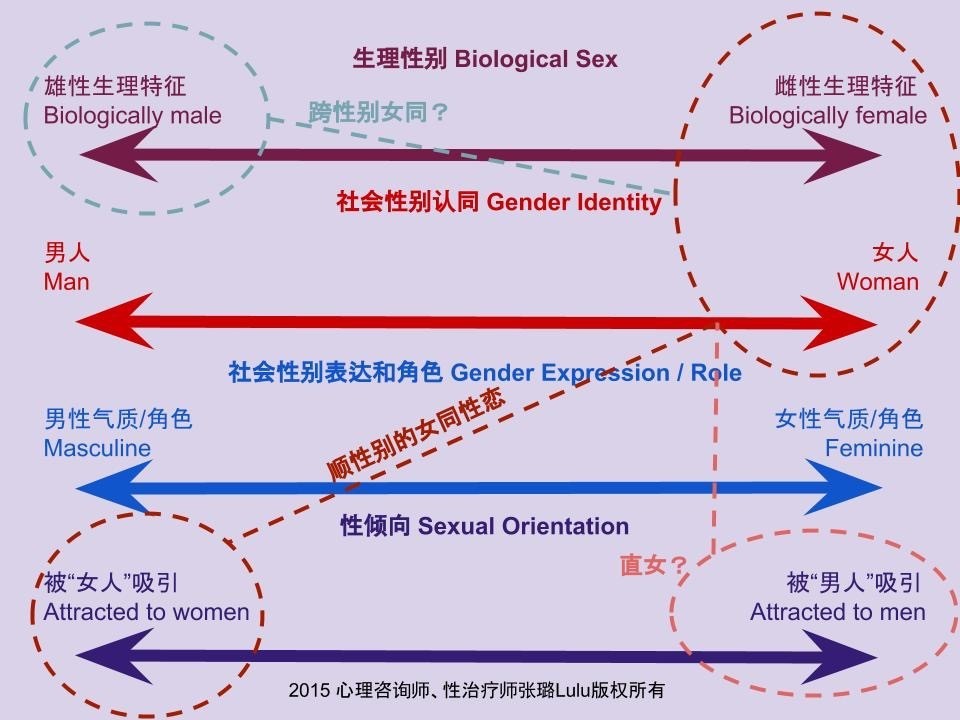 女生的P和T是什么意思(女同志一定要分T和P?)