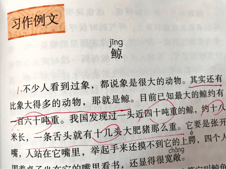 打比方和举案列的区别(作比较、举案列、打比方的区别是什么)