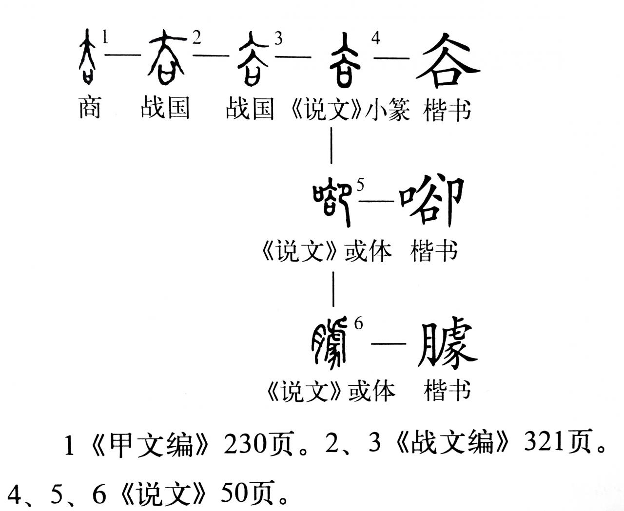 只得的拼音，只得读音为什么不是的