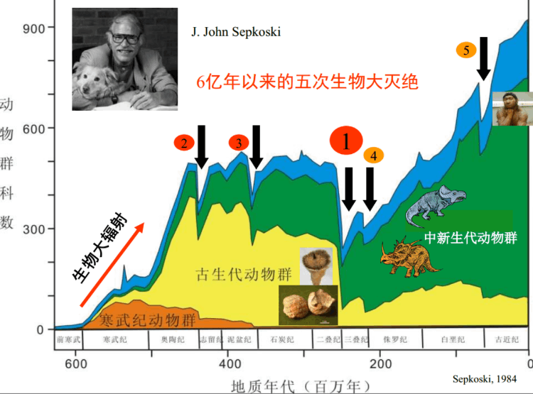 人类灭绝时间已定(离人类大灭绝还有多长时间)