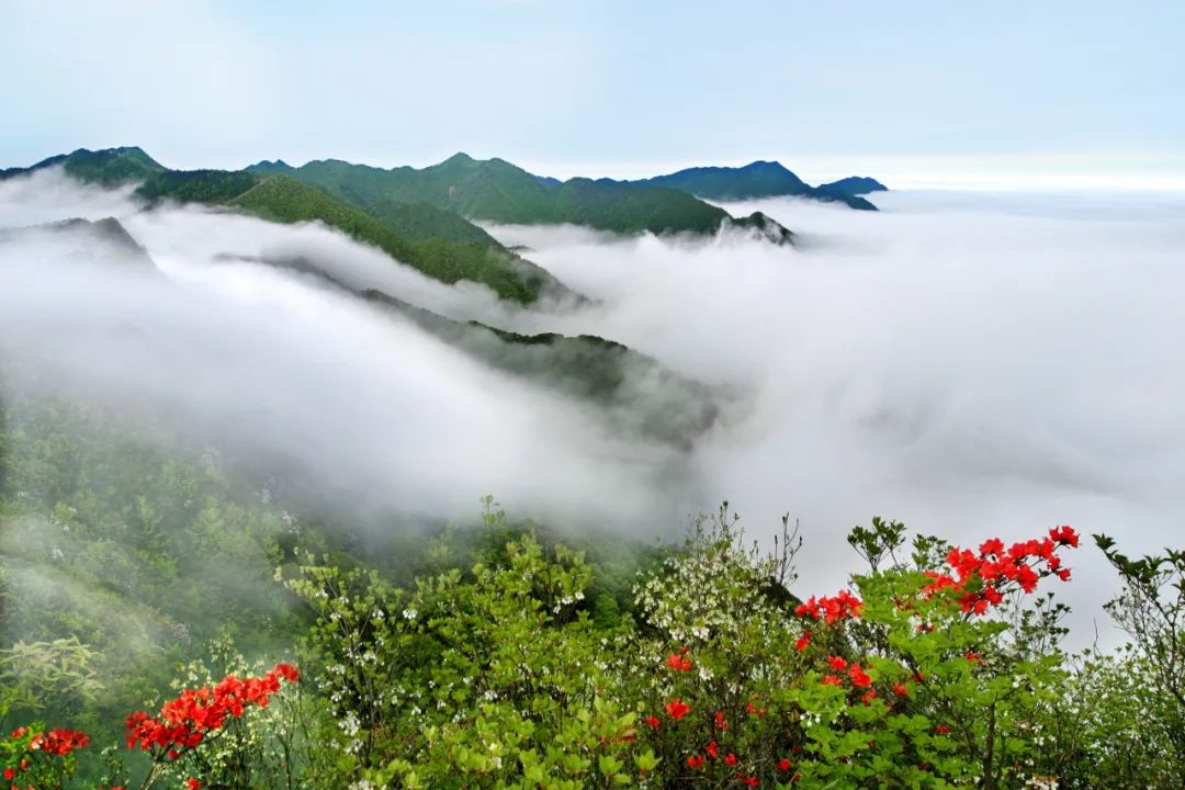 井冈山必去的旅游景点(井冈山有什么好玩的地方)