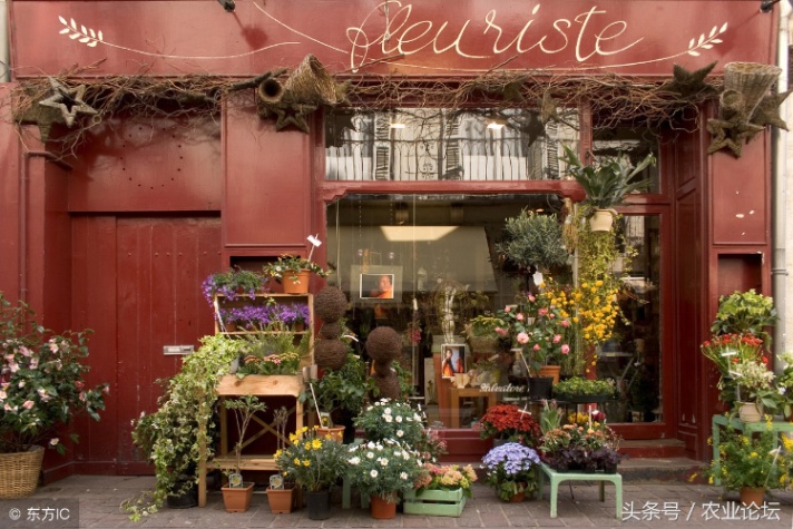 农村开花店赚钱吗（在农村开花店赚钱吗）