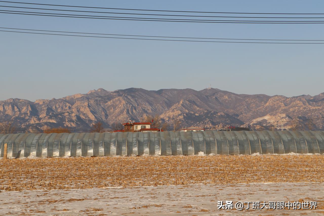 北镇是哪里的(北镇市占地面积)