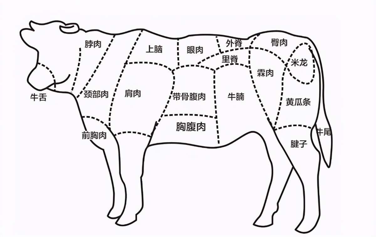 肥牛是什么肉做的？它到底是牛的哪块肉呢？