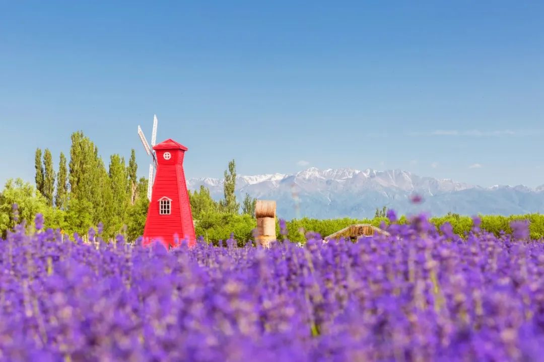 端午节去哪里旅游最好(端午节去哪里旅游好)