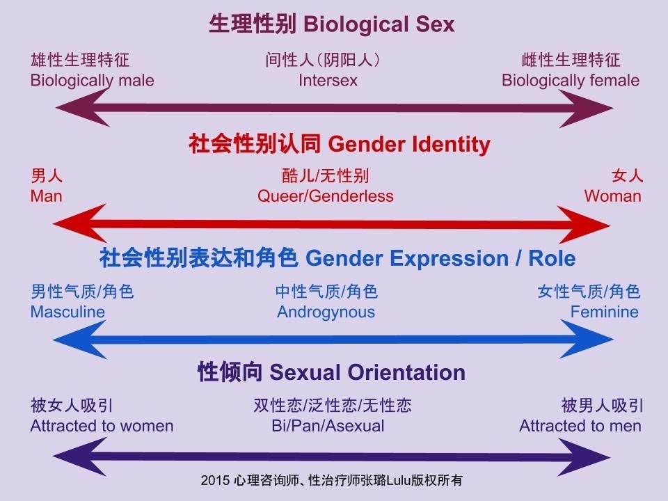 女生的P和T是什么意思(女同志一定要分T和P?)