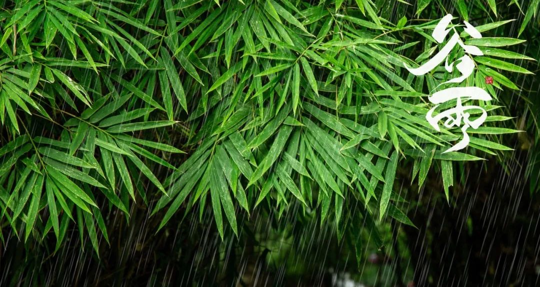 谷雨节气的经典古诗(谷雨节气诗)