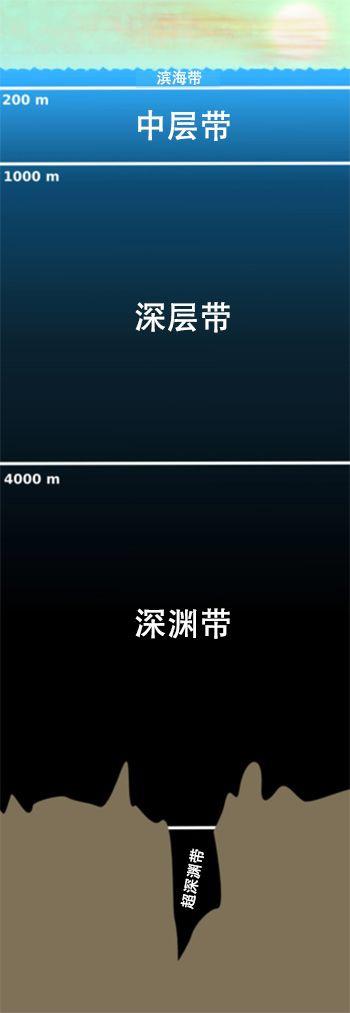 鬼鲨鱼是什么样子的？专家：鬼鲨！为何深海鱼大都很丑