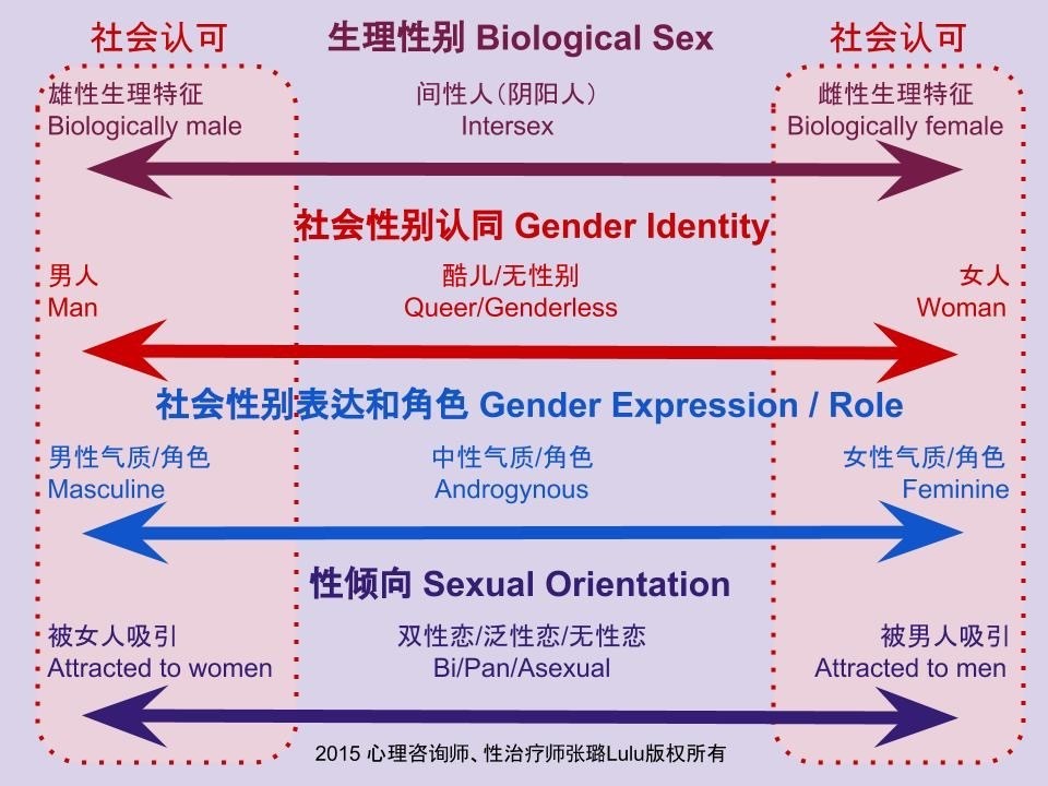 女生的P和T是什么意思(女同志一定要分T和P?)