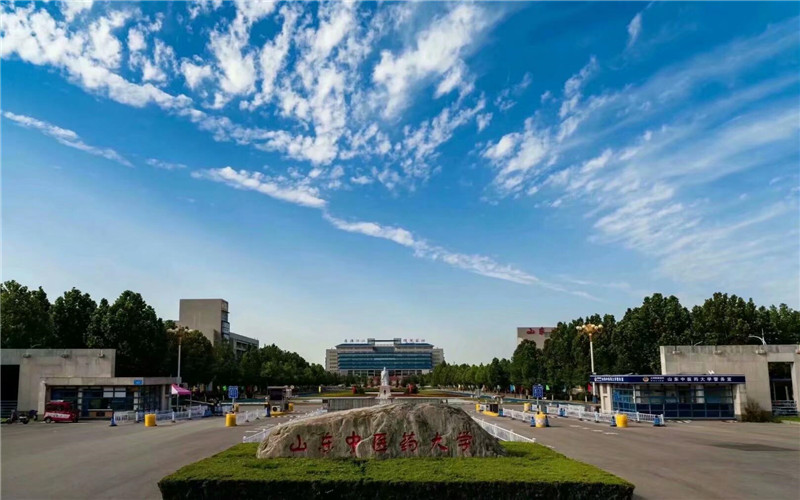 山东医学院校大学排名(山东医学院排行榜)