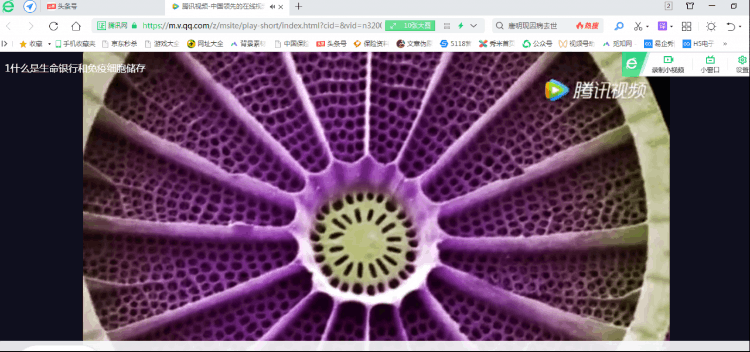 怎么下载视频到电脑里面（怎样把视频课程下载到电脑上）