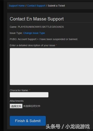 pubgmobile账号申诉入口箱（pubg申诉换英文容易过吗）