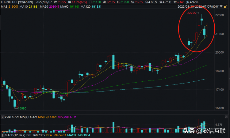 猪价多少钱有利润，今日猪价涨势