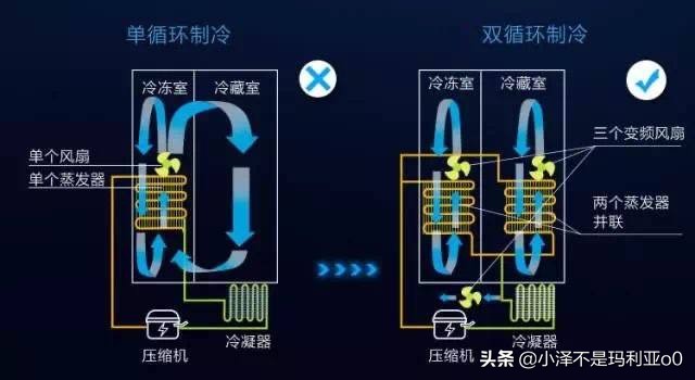 2022年高性价比冰箱畅销型号解析(冰箱越贵越好吗)