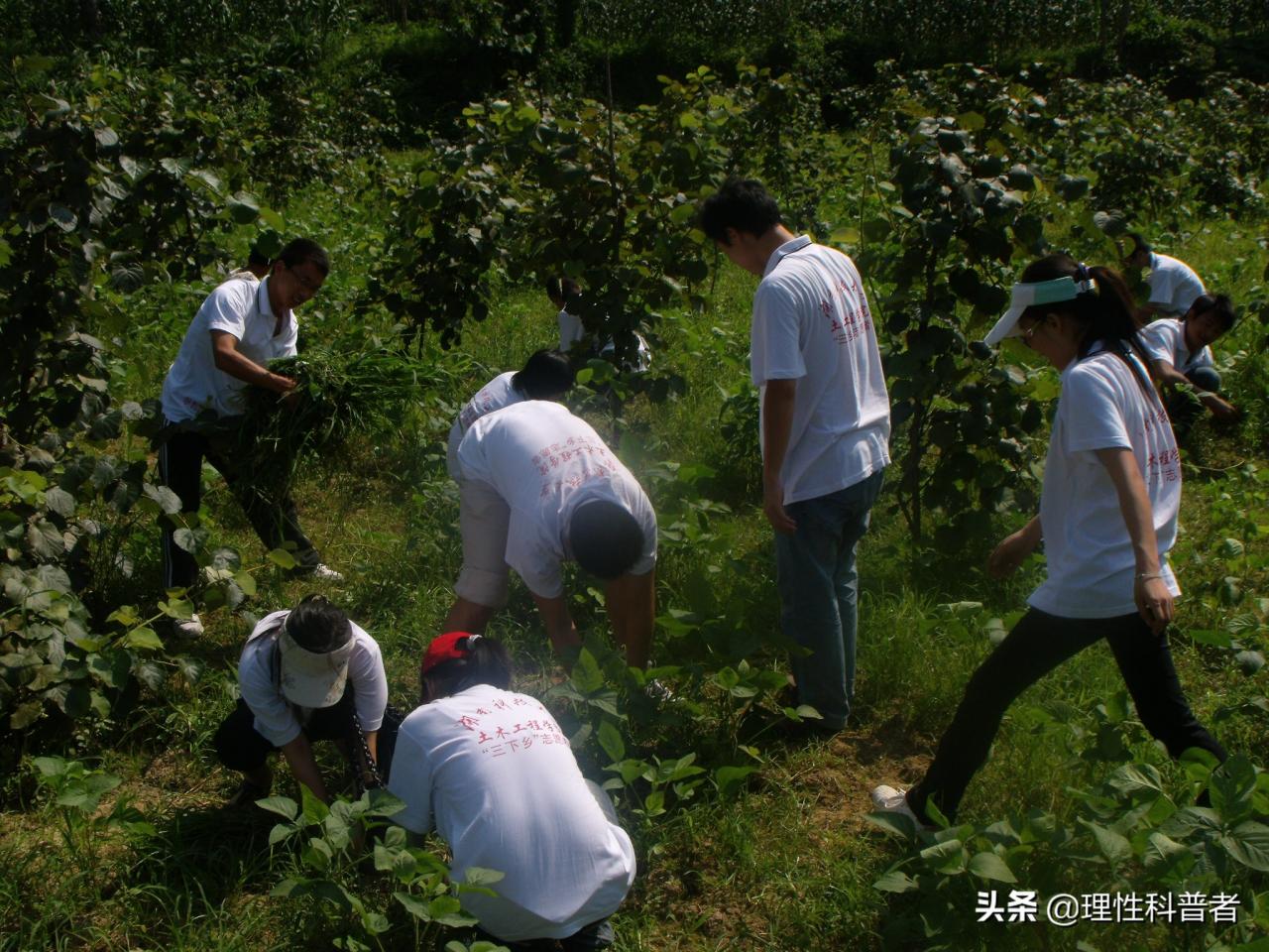 实践一下是什么意思，小学生实践活动有哪些