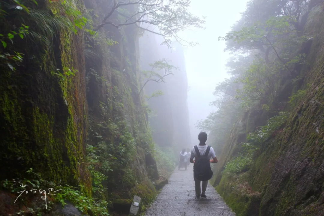 介绍天都峰(关于天都峰的信息)