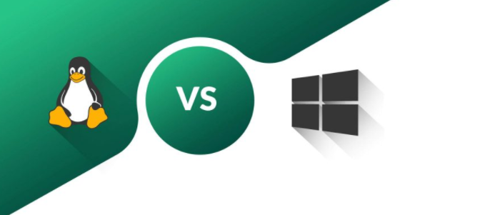 如何选择Linux VPS或Windows VPS主机