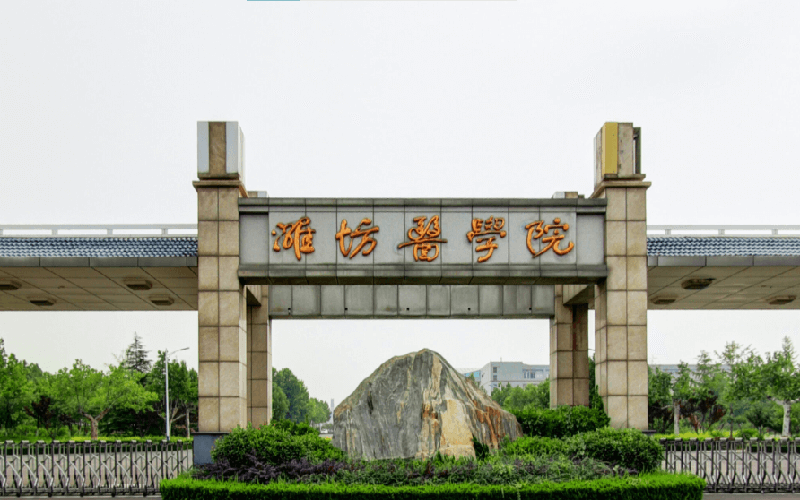 山东医学院校大学排名(山东医学院排行榜)