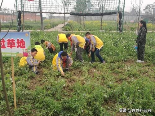 实践一下是什么意思，小学生实践活动有哪些