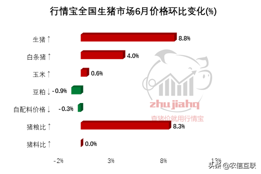 猪价多少钱有利润，今日猪价涨势