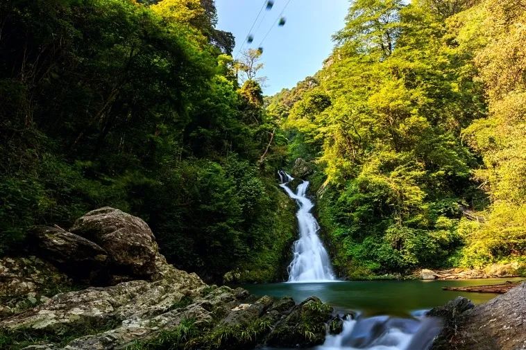 井冈山必去的旅游景点(井冈山有什么好玩的地方)