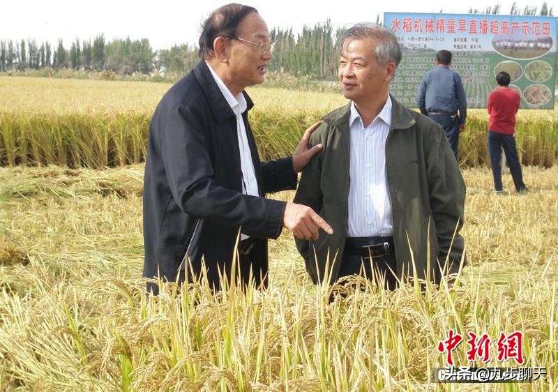 新疆生产建设兵团是什么意思(新疆生产建设兵团的历史与发展)