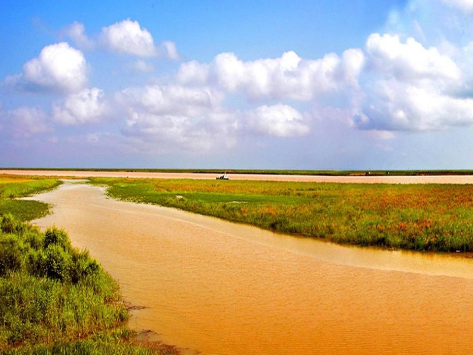 世界上黄河含沙量最大，为什么渤海没有填满