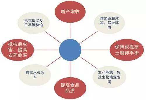 钾肥的作用(种植农作物离不了钾肥，钾肥有什么作用？过量施用钾肥有什么危害)